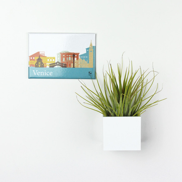Kalamitica Calamita VENEZIA e Cubo con Tillandsia Ionantha Moda